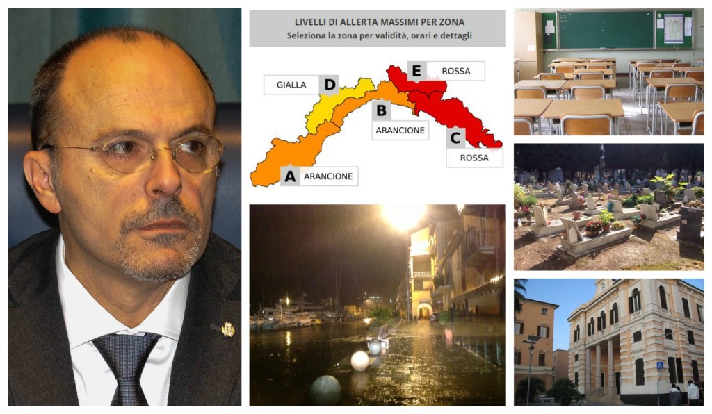 collage_erfaxdzscfdaes