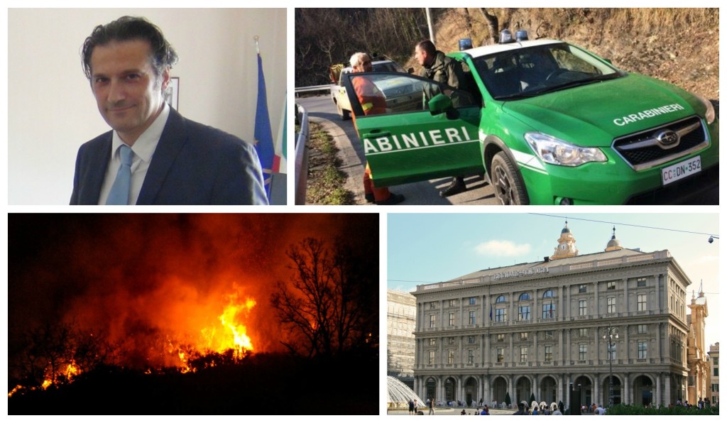 collage_incendiforestale