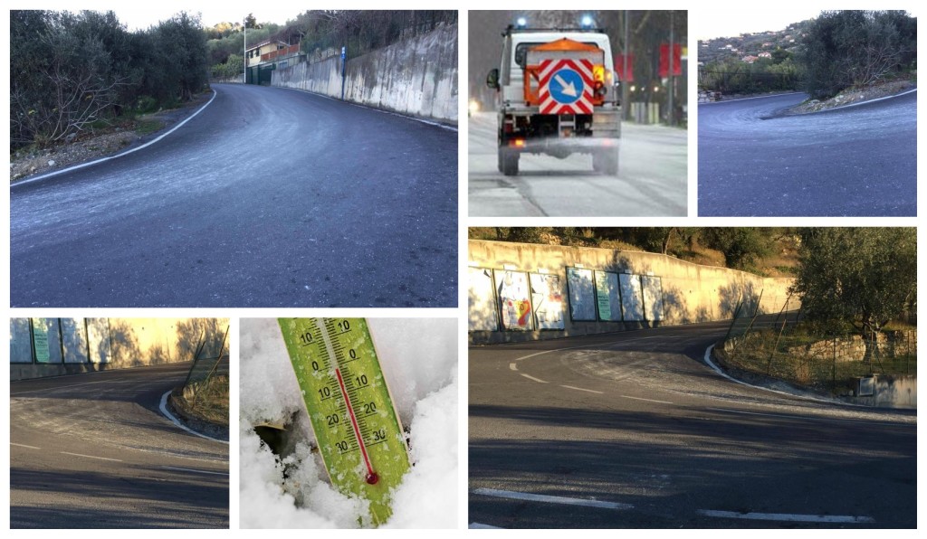 collage_spargisale_imp