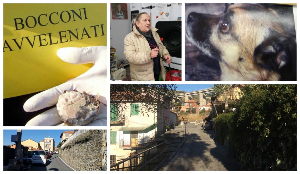 collg_bocconiavvelenati