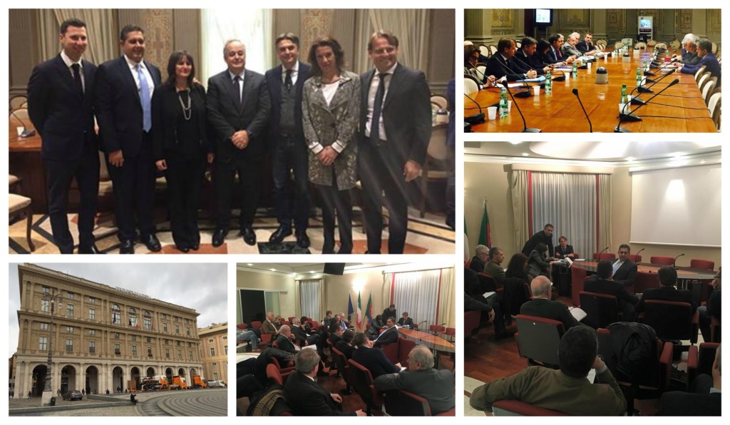 collage_autonomialig