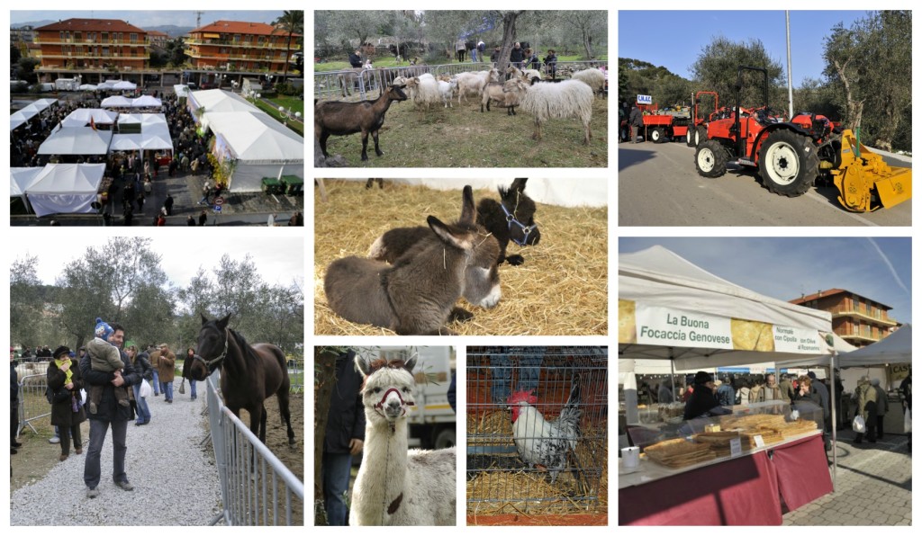 collage_fieracandelora318