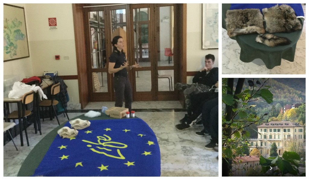 collagescuolarmealife