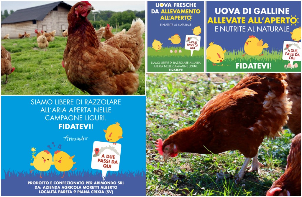 galline