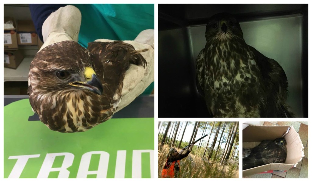 27746570_10213504930431585_196419648_o