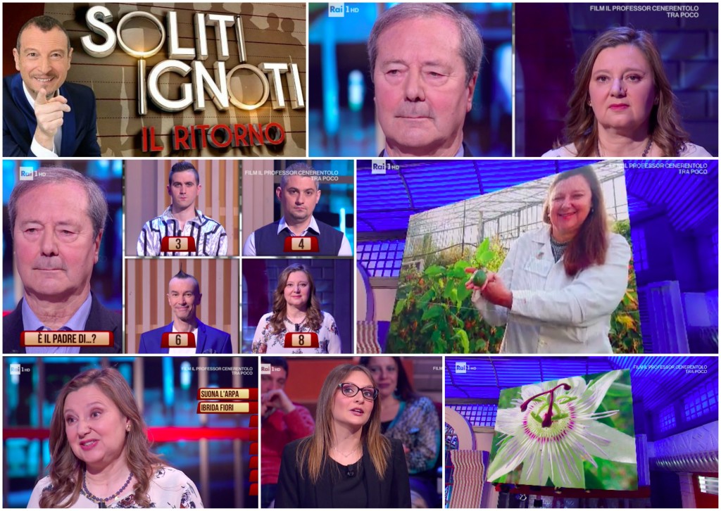 SOLITI IGNOTI