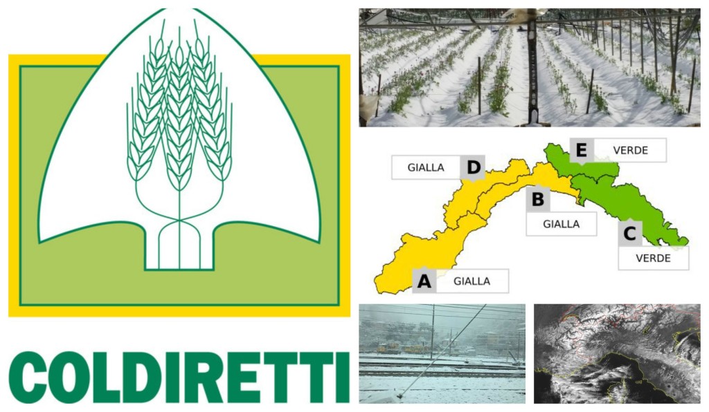 collage_coldirettimaltepo