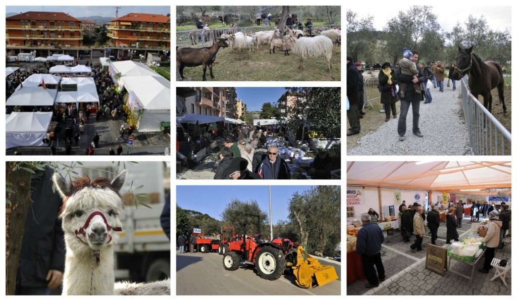collage_fieracandelora_3