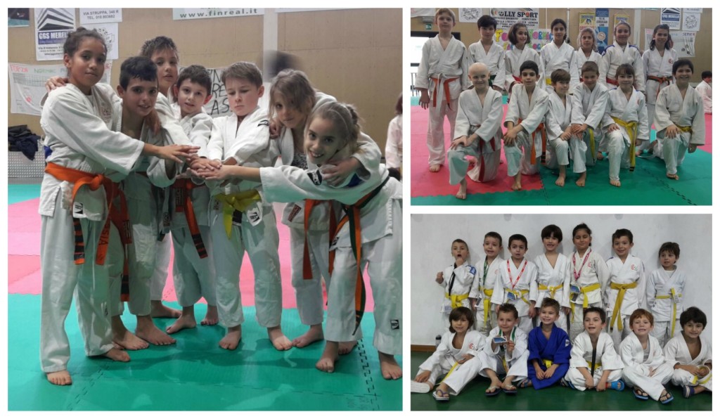 collage_judoklub_1