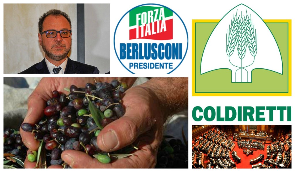 collage_mulecoldireti