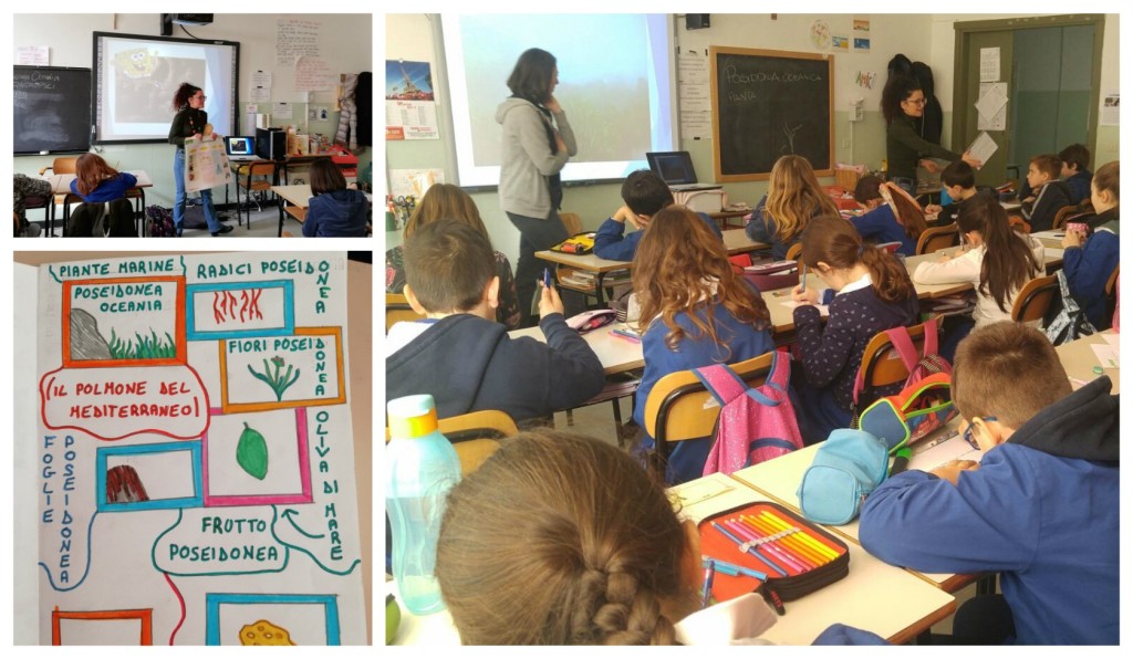 collage_biologiataggia