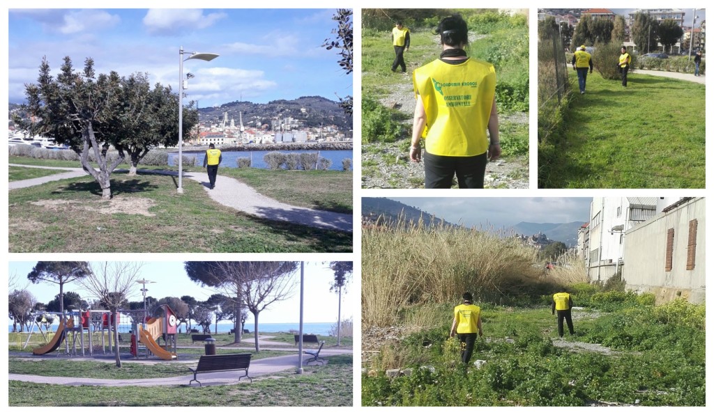 collage_bocconiavvelenatipi