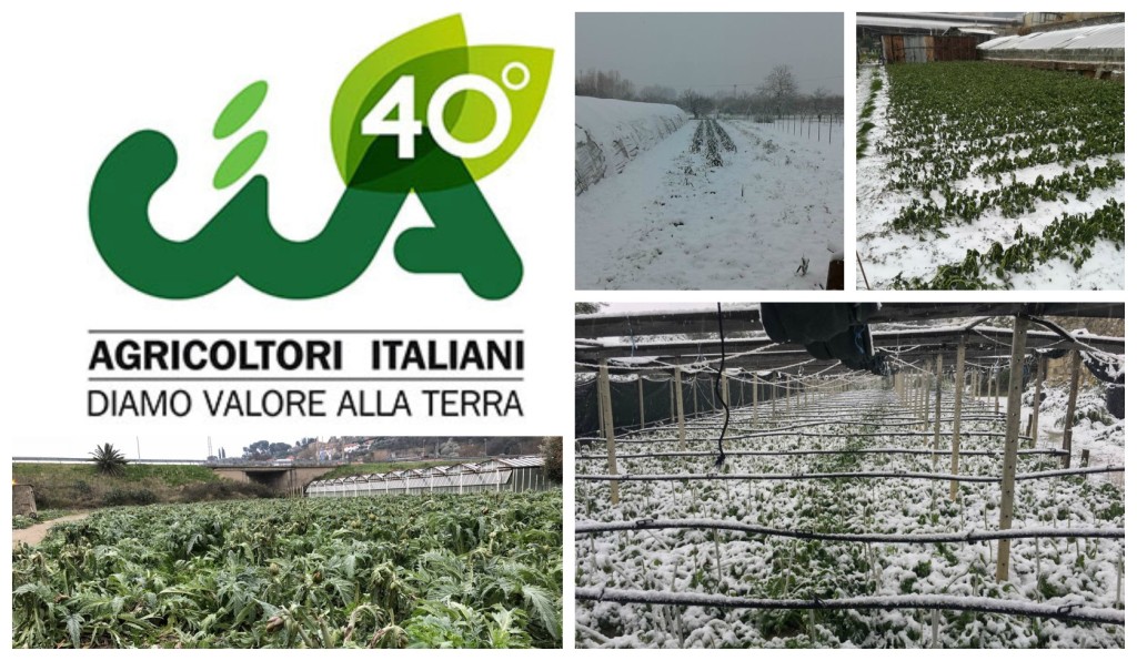 collage_ciamaltempo