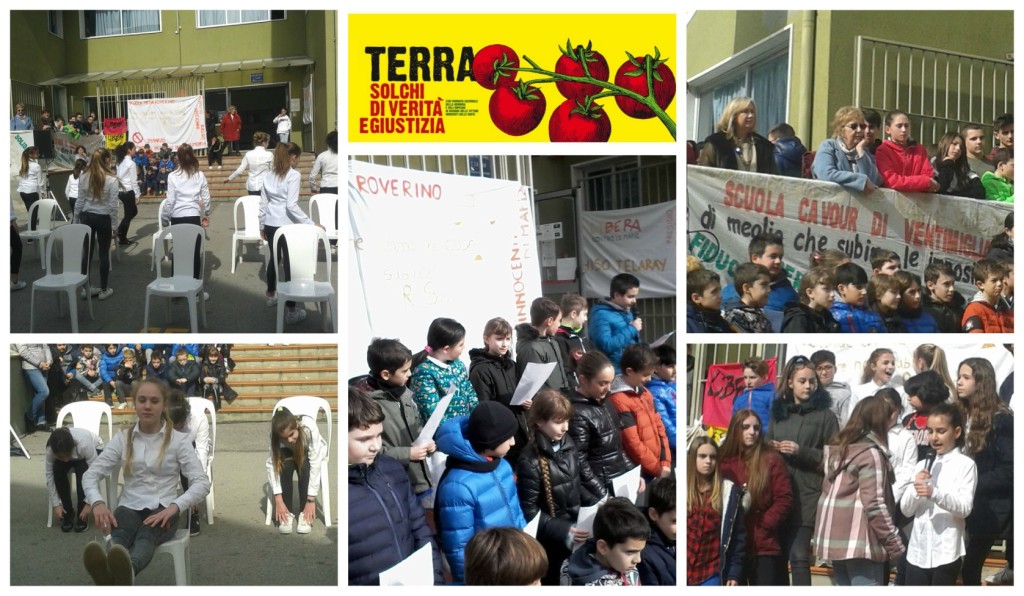collage_libera_mfa