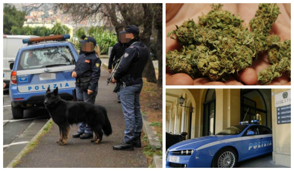 collage_mariadenuncia