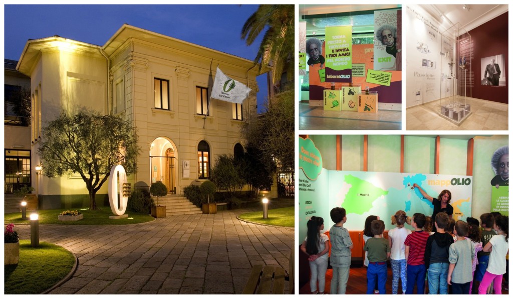 collage_museolivocarlocarli