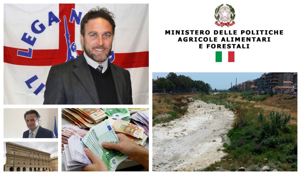 collage_pianassicità