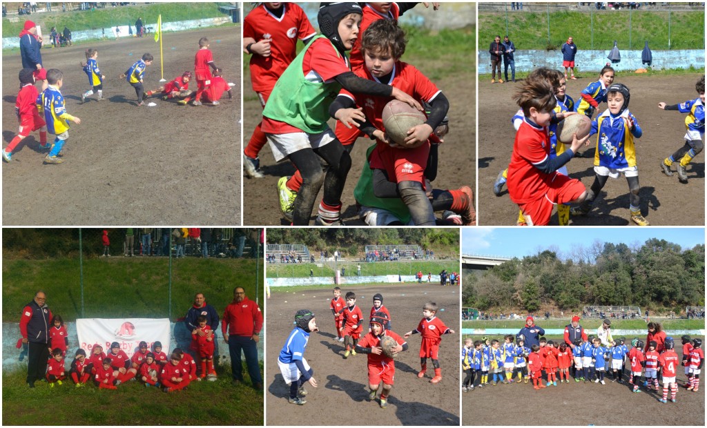 rugby
