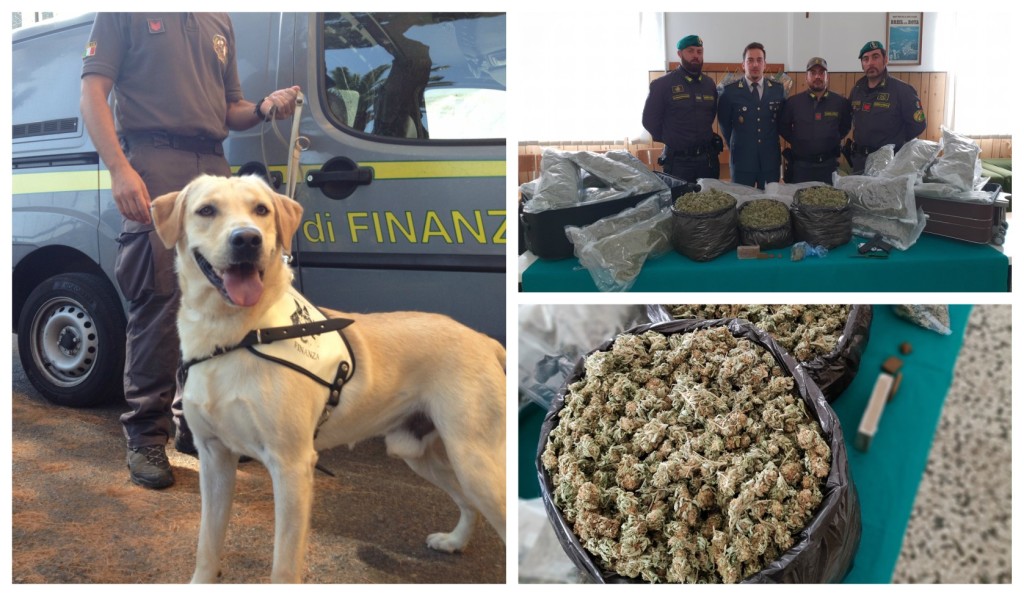 fiananza-arresto-droga-ventimiglia-hashish-marijuana