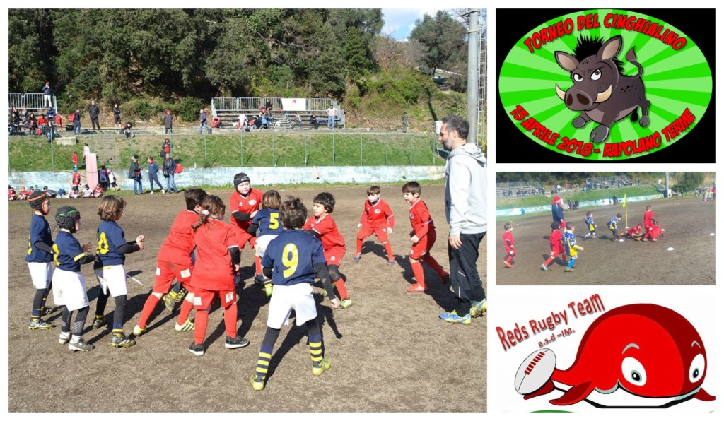 reds-rugby-imperia-torneo-cinghialotto