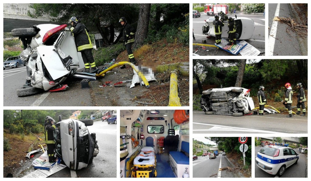 34367432_10214486833818556_2417431958985375744_n