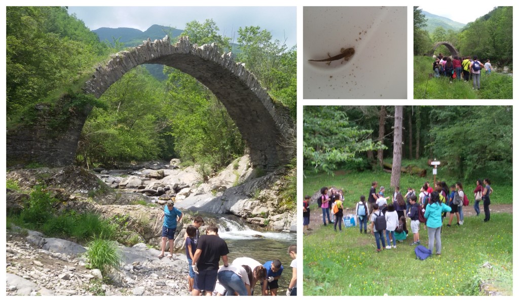 rezzo gita ranzo pieve di teco