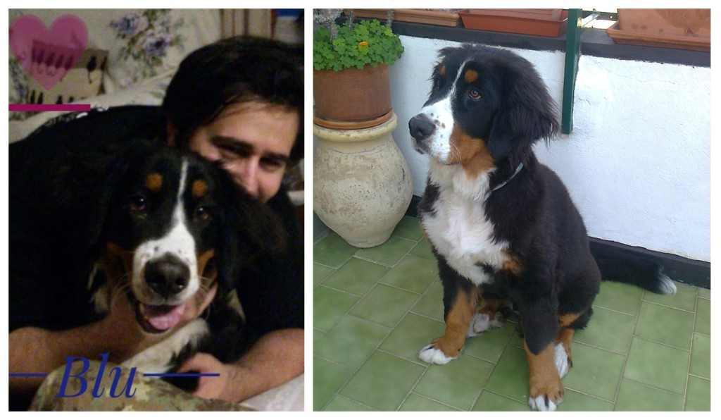 ritrovamento blu parco urbano ringraziamenti