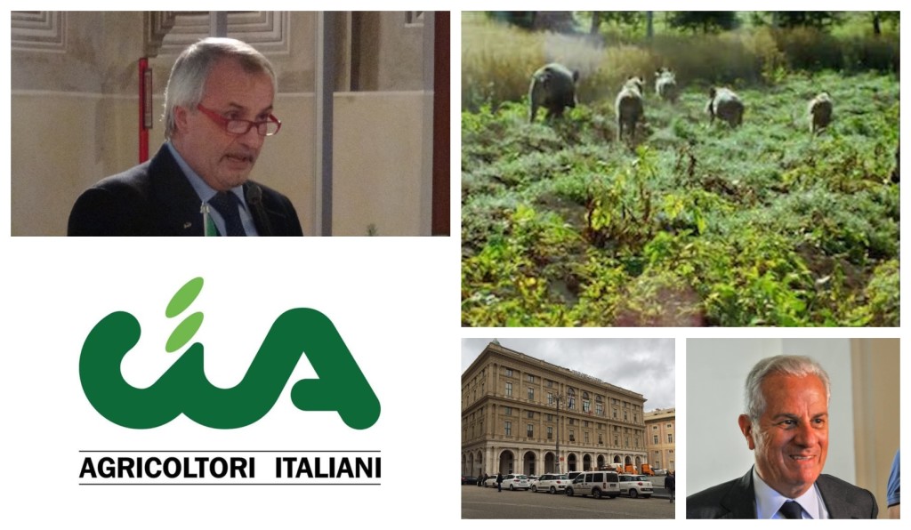 cia danni ungulati denuncia