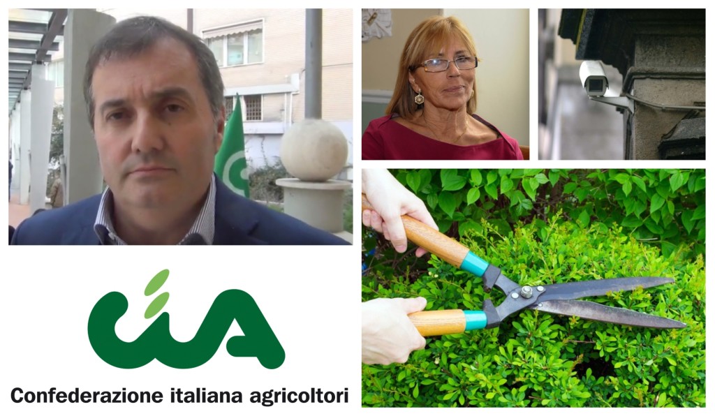 roggerone cia tizzano furti di verde