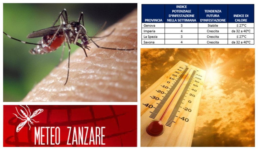 zanzara tigre caldo allerta imperia