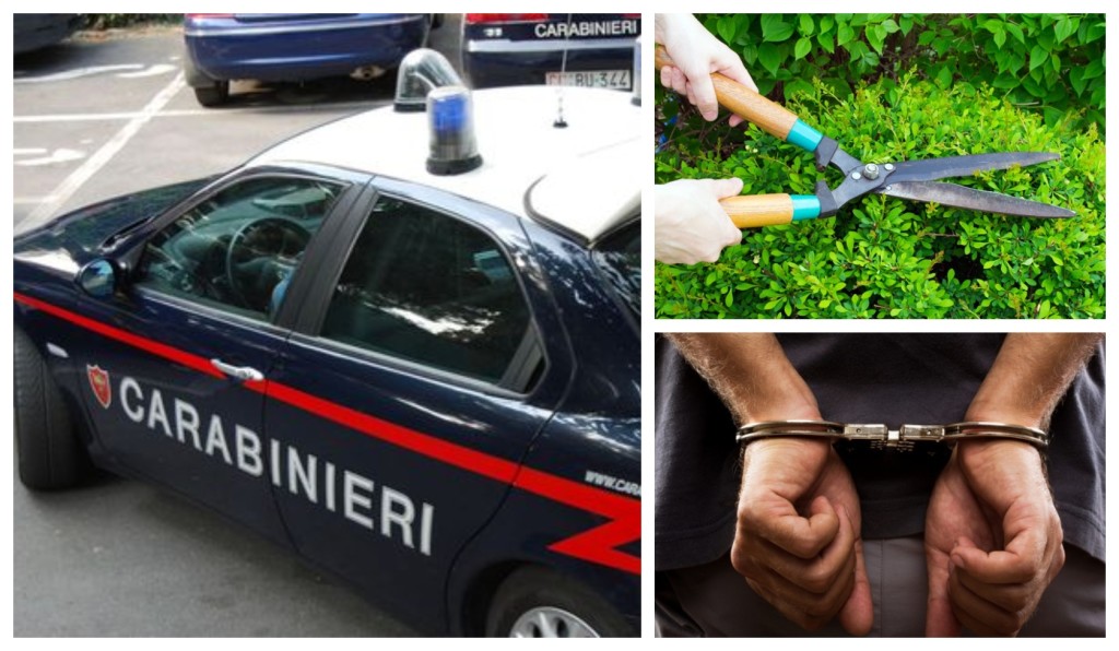 carabinieri furto verde ornamentale tre arresti