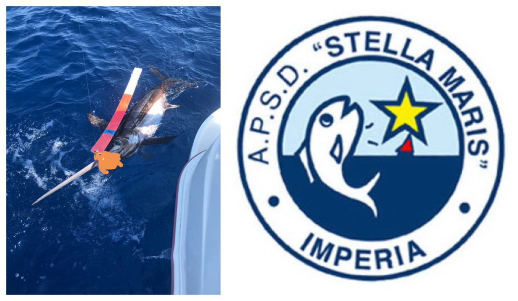 stella maris pesce spada primo premio