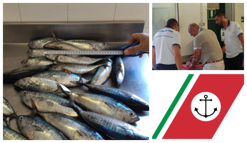 tonno rosso pescato taglia minima sequestro multa guardia costiera imperia