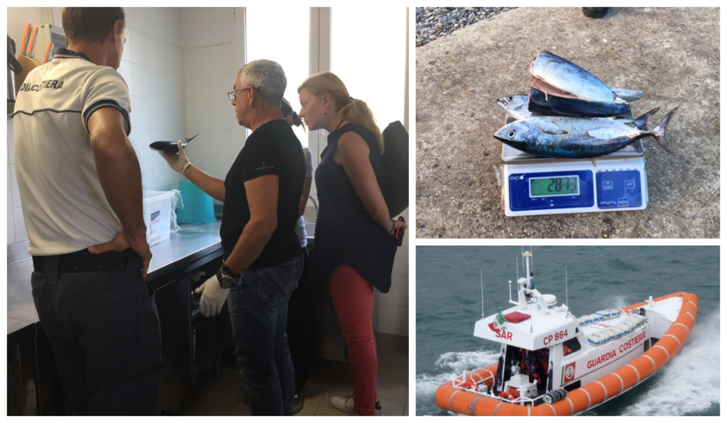 imperia-tonno-rosso-pescato-taglia-minima-sequestro-multa-guardia-costiera