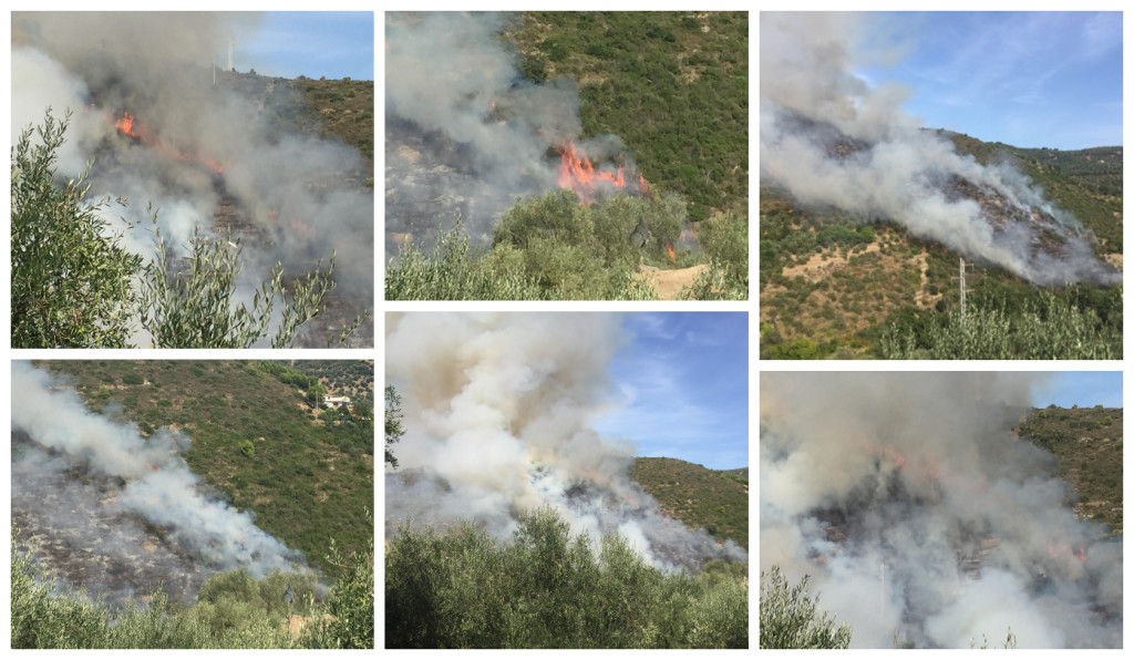 incendio sterpaglie costa 12 settembre (1)
