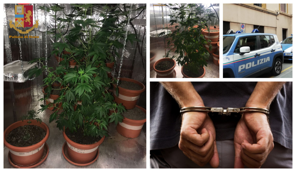 polizia piante arresto marijuana