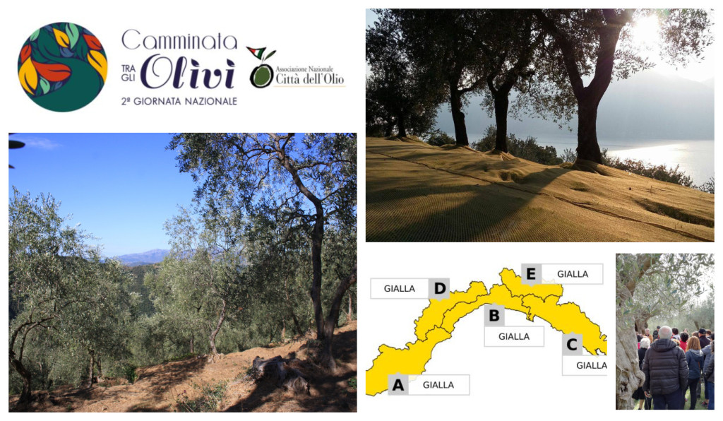 allerta camminata ulivi 18