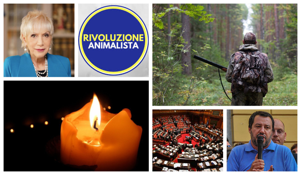 tragedia apricale cacciatore ricoluzione animalista