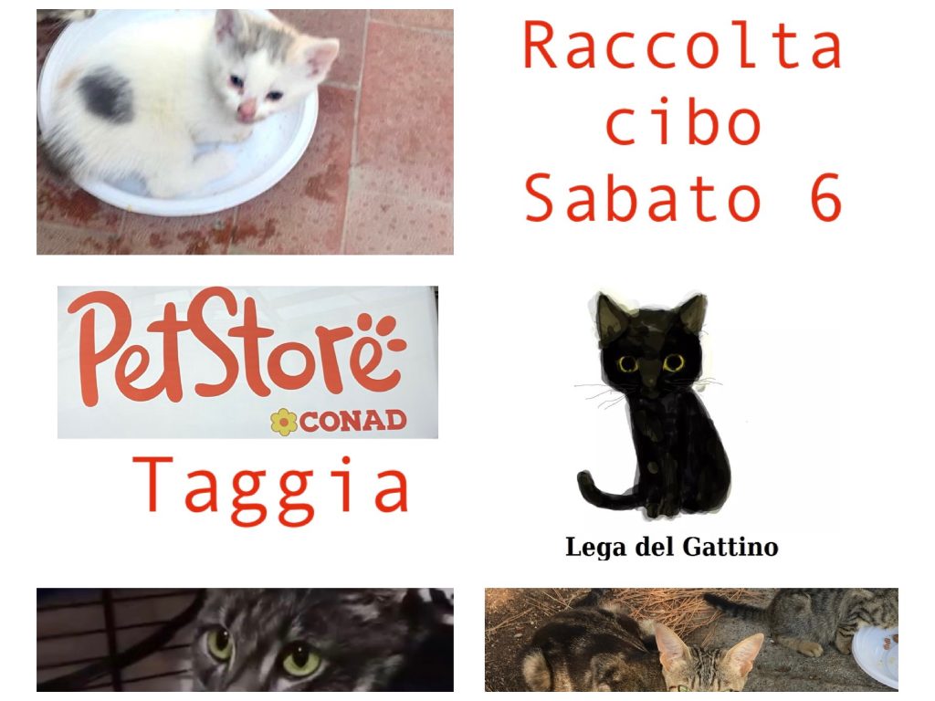 Repellente a Ultrasuoni Solare per Gatti, Allontana gli Animali, 1 Pezzo | Leroy Merlin